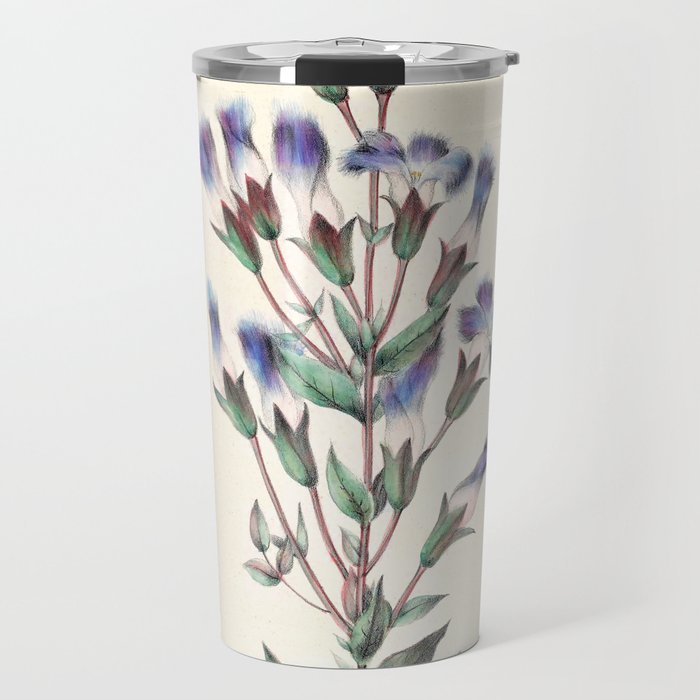  Fringed gentian by Clarissa Munger Badger, 1859 (benefitting The Nature Conservancy) Travel Mug Gallery Image 1