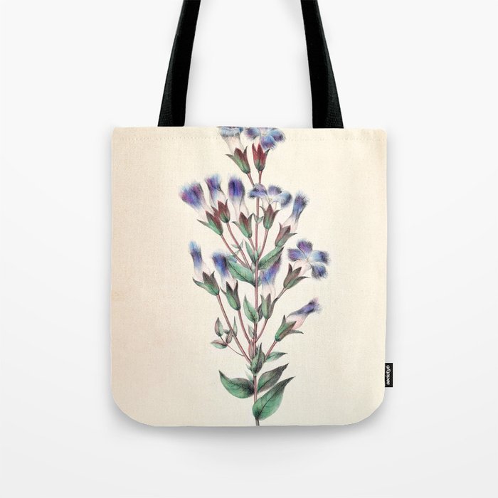  Fringed gentian by Clarissa Munger Badger, 1859 (benefitting The Nature Conservancy) Tote Bag Gallery Image 1