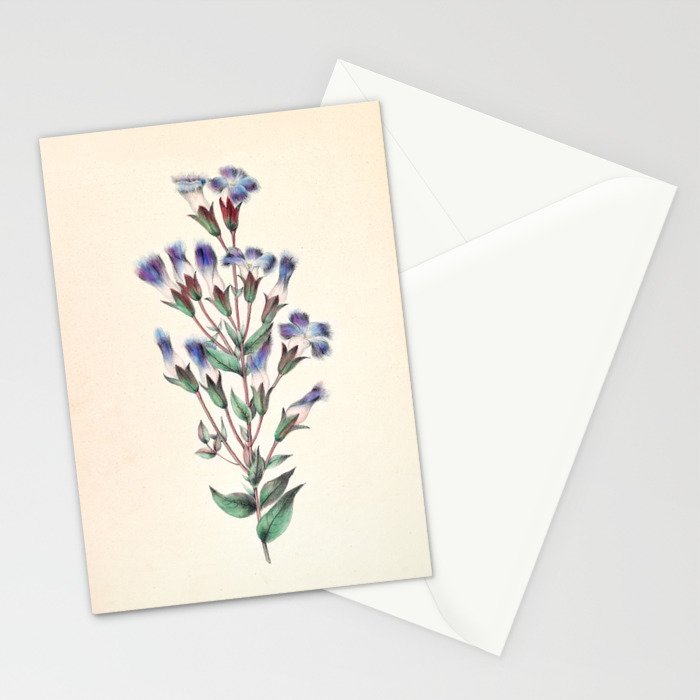  Fringed gentian by Clarissa Munger Badger, 1859 (benefitting The Nature Conservancy) Stationery Card Gallery Image 2