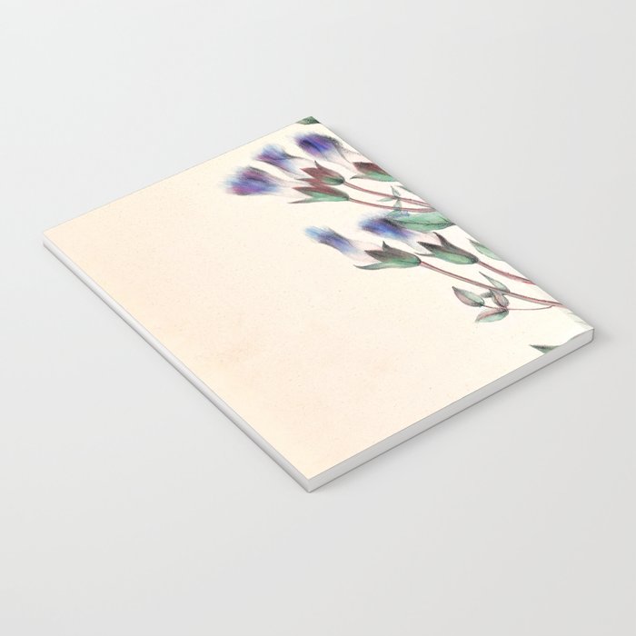  Fringed gentian by Clarissa Munger Badger, 1859 (benefitting The Nature Conservancy) Notebook Gallery Image 3