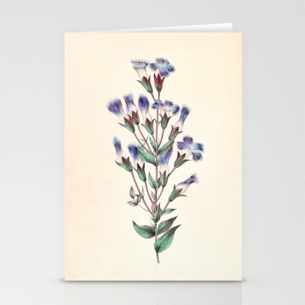  Fringed gentian by Clarissa Munger Badger, 1859 (benefitting The Nature Conservancy) Stationery Card Gallery Image 2
