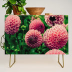 Let Yourself Bloom - Modern Botanical Photograph Credenza Gallery Image 1