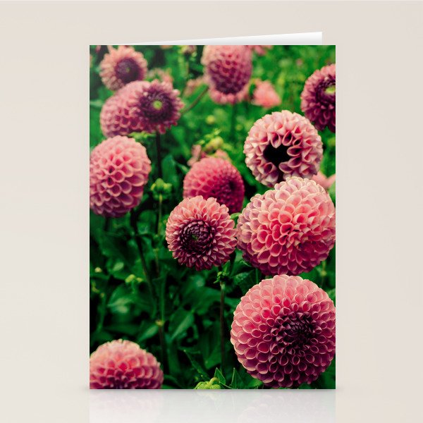 Let Yourself Bloom - Modern Botanical Photograph Stationery Card Gallery Image 2