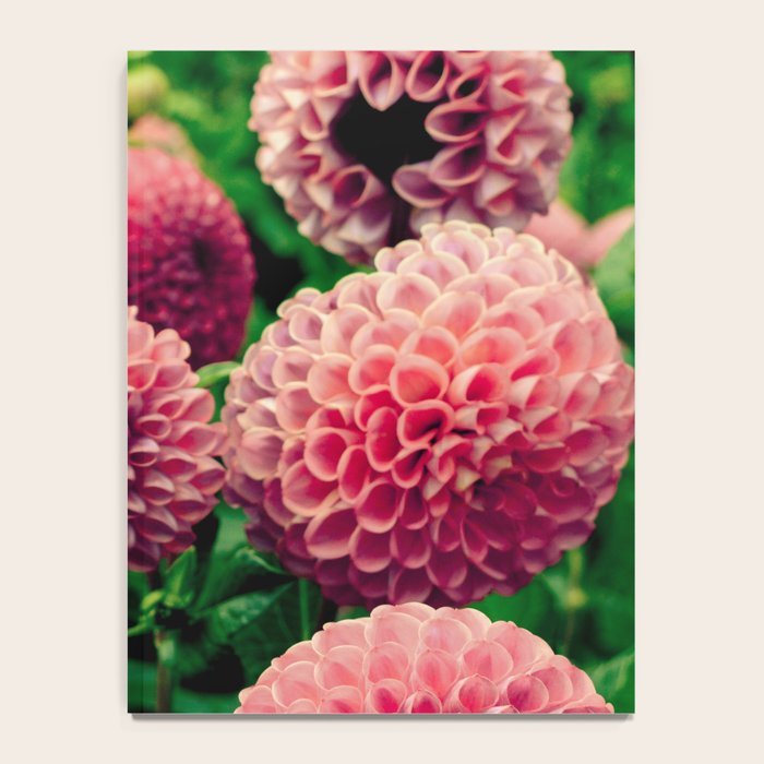 Let Yourself Bloom - Modern Botanical Photograph Notebook Gallery Image 4
