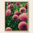 Let Yourself Bloom - Modern Botanical Photograph Serving Tray Gallery Image 1