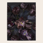Black tulips on dark background Poster Gallery Image 4