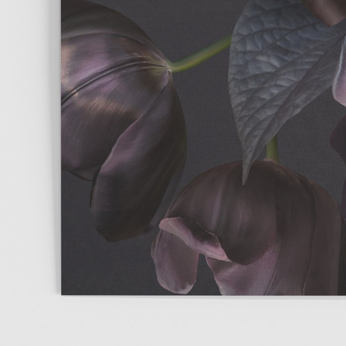 Black tulips on dark background Poster Gallery Image 3