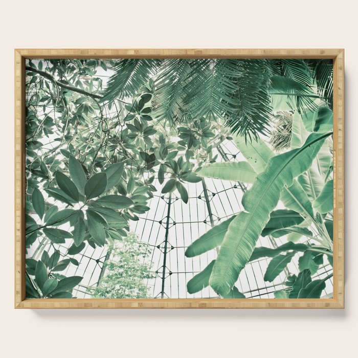 Tropical Greenhouse #2 Serving Tray Gallery Image 1