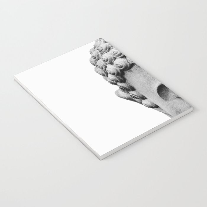 Shy Buddha - Black and White Photography Notebook Gallery Image 3