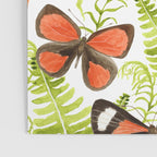 Ferns and Butterflies Poster Gallery Image 3