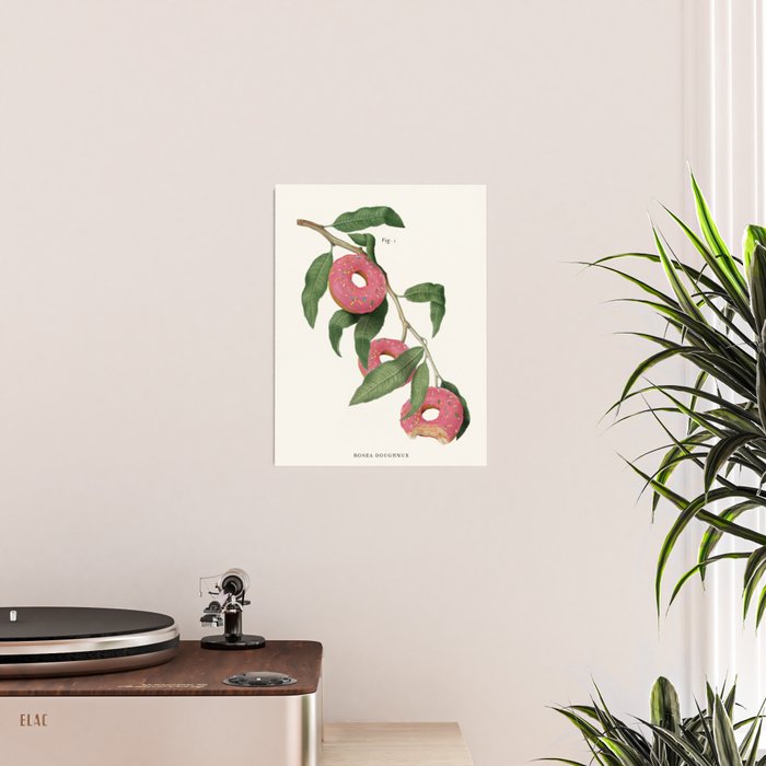 Donut Plant Poster Gallery Image 2