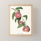 Donut Plant Mini Art Print Gallery Image 1