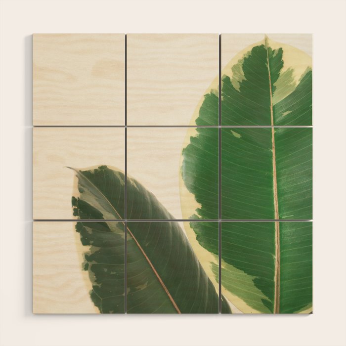 Leaf Study Wood Wall Art Gallery Image 1