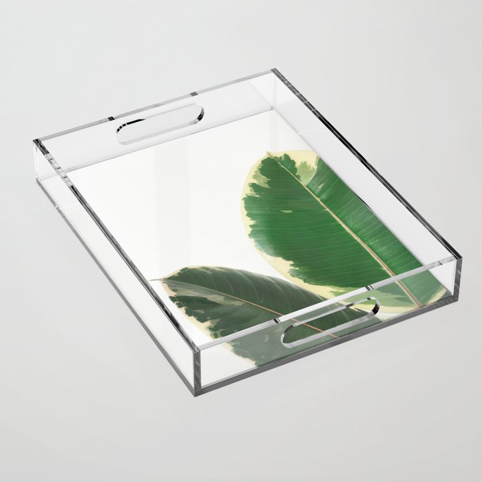 Leaf Study Acrylic Tray Gallery Image 1