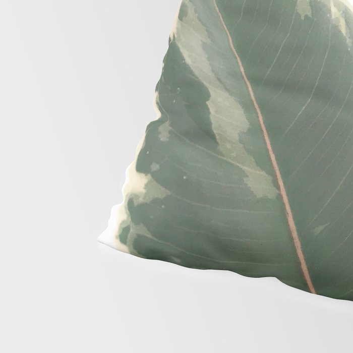 Leaf Study Pillow Sham Gallery Image 4