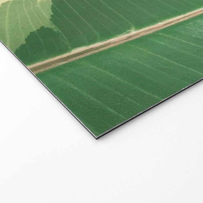 Leaf Study Welcome Mat Gallery Image 2