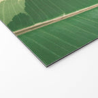Leaf Study Welcome Mat Gallery Image 2