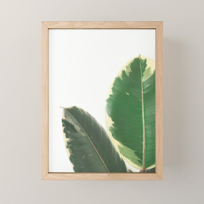 Leaf Study Mini Art Print Gallery Image 1