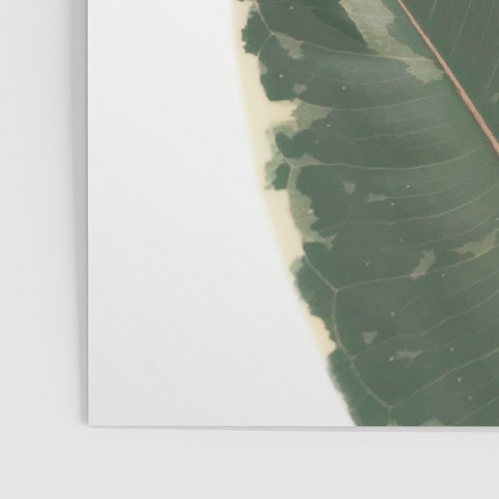 Leaf Study Poster Gallery Image 3
