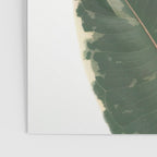 Leaf Study Poster Gallery Image 3