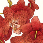 Red Orchids Coffee Mug Gallery Image 2