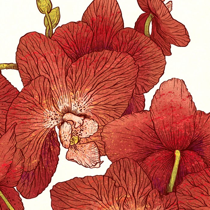 Red Orchids Coffee Mug Gallery Image 2