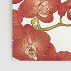 Red Orchids Poster Gallery Image 3