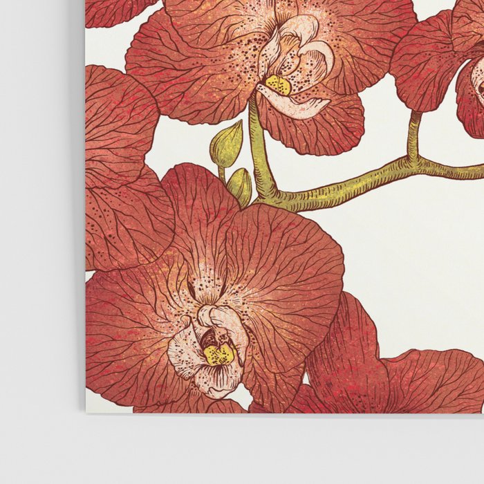 Red Orchids Poster Gallery Image 3