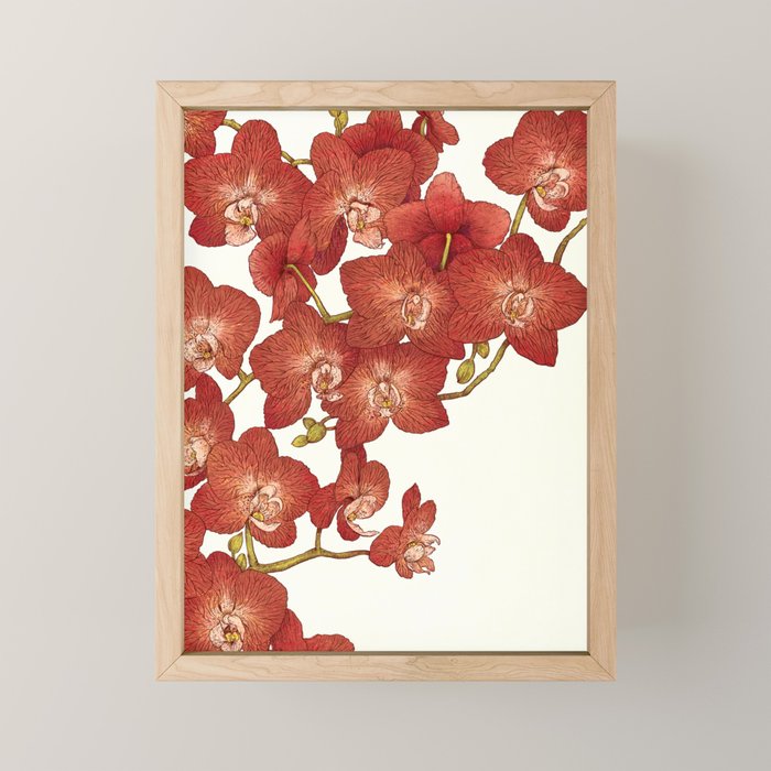 Red Orchids Mini Art Print Gallery Image 1