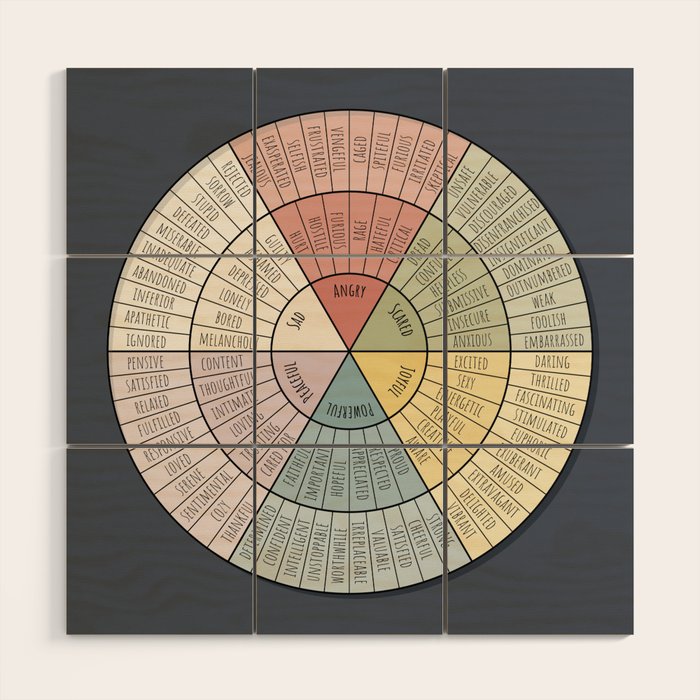 Feelings Wheel - Muted Wood Wall Art Gallery Image 1