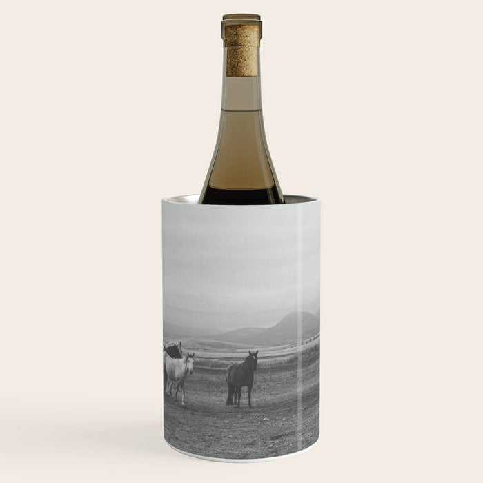 Montana Wild Horses Photography Wine Chiller Gallery Image 1