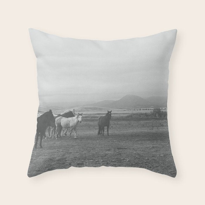 Montana Wild Horses Photography Throw Pillow Gallery Image 6