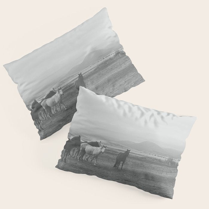 Montana Wild Horses Photography Pillow Sham Gallery Image 3