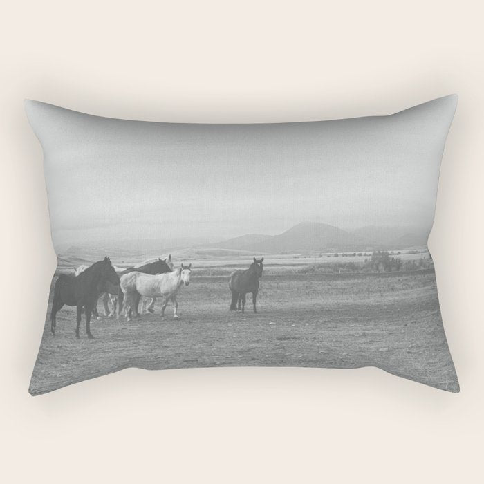 Montana Wild Horses Photography Rectangular Pillow Gallery Image 1