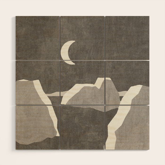LANDSHAPES / Arctic - Night Wood Wall Art Gallery Image 1