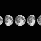 moon phases Coffee Mug Gallery Image 2