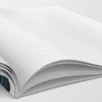 Minneapolis Sunset Notebook Gallery Image 2