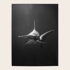 Hammerhead Shark (Black and White) Poster Gallery Image 4