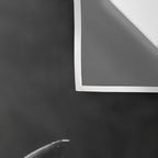 Hammerhead Shark (Black and White) Wall Tapestry Gallery Image 3