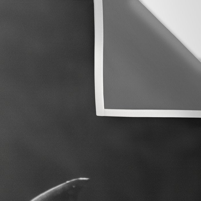 Hammerhead Shark (Black and White) Wall Tapestry Gallery Image 3