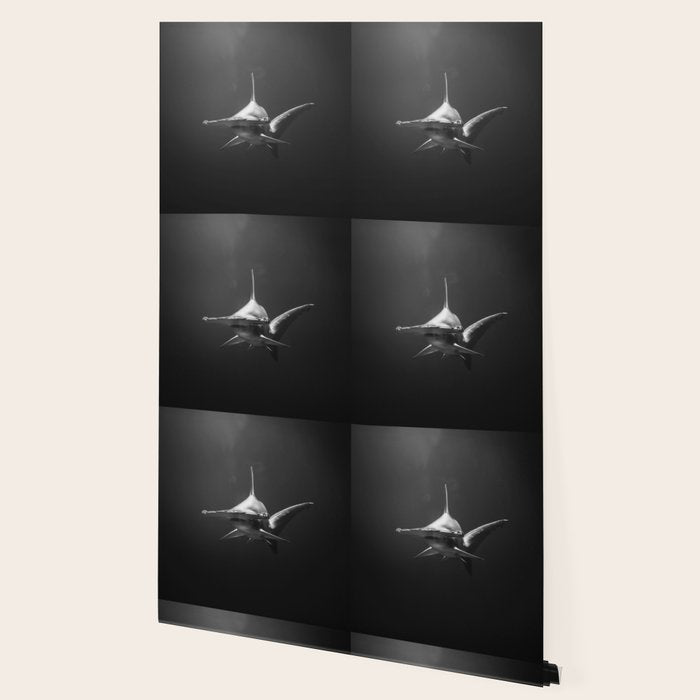 Hammerhead Shark (Black and White) Wallpaper Gallery Image 2