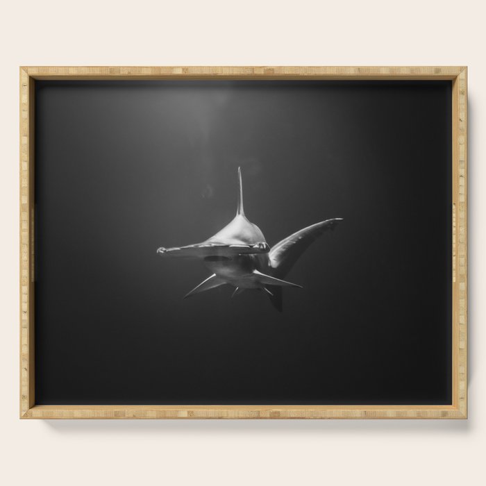 Hammerhead Shark (Black and White) Serving Tray Gallery Image 1