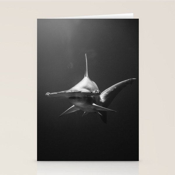 Hammerhead Shark (Black and White) Stationery Card Gallery Image 1