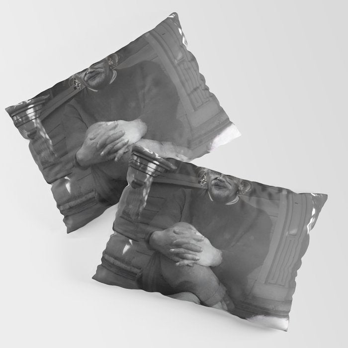 Satirical Einstein in Fuzzy Pink Slippers Classic E = mc² Black and White Satirical Photography  Pillow Sham Gallery Image 3