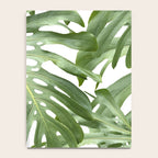 Vibrant tropical foliage on white Notebook Gallery Image 4