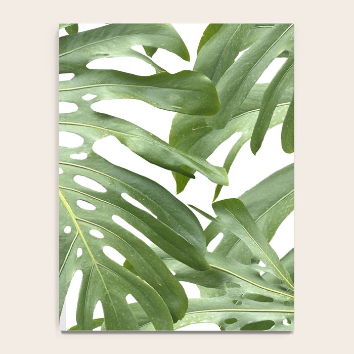 Vibrant tropical foliage on white Notebook Gallery Image 4