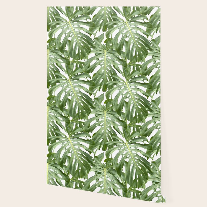 Vibrant tropical foliage on white Wallpaper Gallery Image 2
