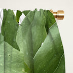 Vibrant tropical foliage on white Window Curtain Gallery Image 2