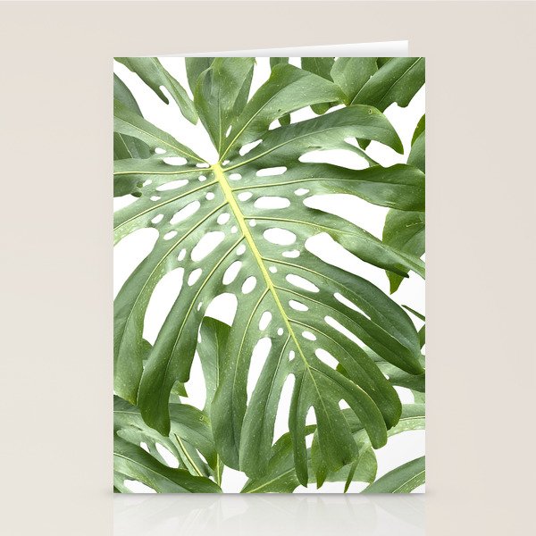 Vibrant tropical foliage on white Stationery Card Gallery Image 2