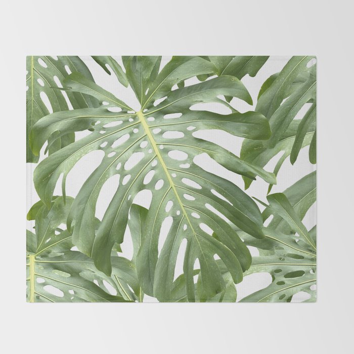 Vibrant tropical foliage on white Throw Blanket Gallery Image 2